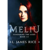 Meliu: Sundering the Gods Book 1.5 - Hardcover