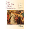 Jesus and the Rise of Early Christianity: A History of New Testament Times - Paperback