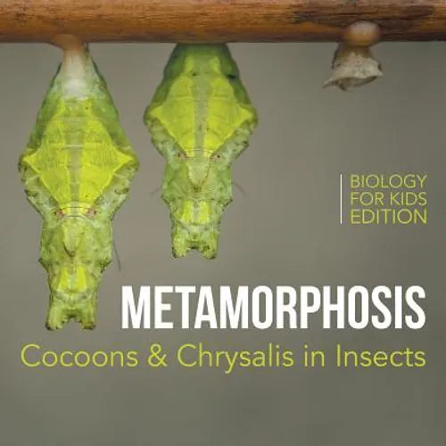 Metamorphosis: Cocoons & Chrysalis in Insects Biology for Kids Edition - Paperback