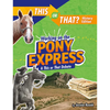 Working on the Pony Express: A This or That Debate - Paperback