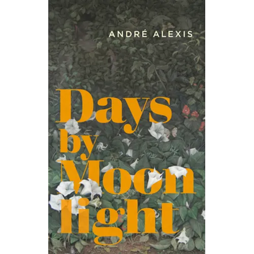 Days by Moonlight - Paperback