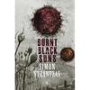 Burnt Black Suns: A Collection of Weird Tales - Paperback