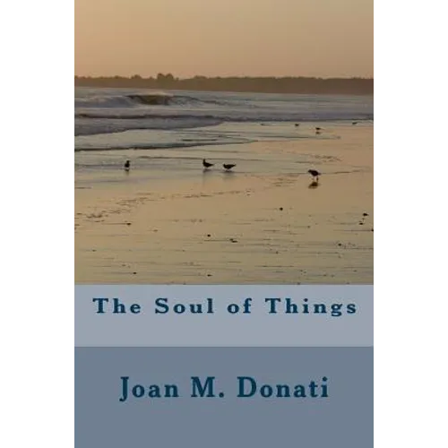The Soul of Things - Paperback