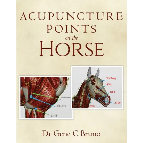 Acupuncture Points on the Horse - Paperback