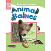Animal Babies - Hardcover