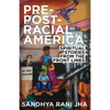 Pre-Post-Racial America: Spiritual Stories from the Front Lines - Paperback