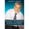 What's Shaking Your Ladder?: 15 Challenges All Leaders Face - Paperback