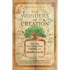 The Wonders of Creation: Learning Stewardship from Narnia and Middle-Earth - Paperback
