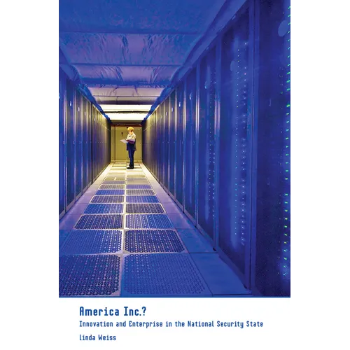 America Inc.?: Innovation and Enterprise in the National Security State - Paperback