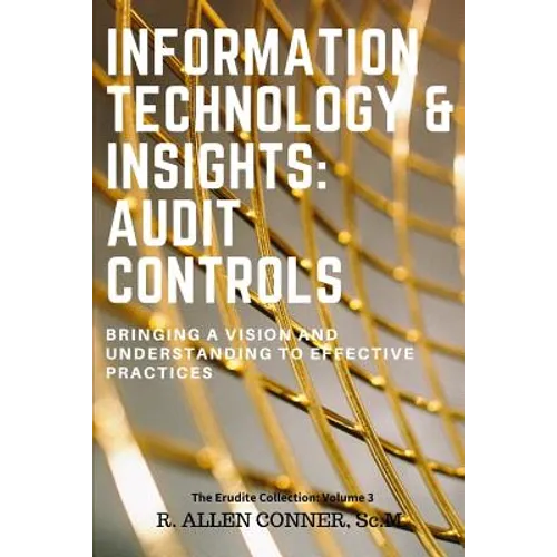 Information Technology & Insights: Audit Controls: Bringing a Vision and Understanding to Effective Practices - Paperback