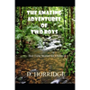 The Amazing Adventures of Two Boys: Bed Time Stories for Children - Paperback
