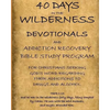40 Days in the Wilderness Addiction Recovery Devotionals and Bible Studies - Paperback