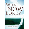 What Now Lord? - Paperback