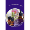 The Essential Oil Quick Guide: On a Budget - Paperback