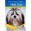 Shih Tzu - Paperback