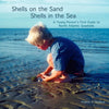 Shells on the Sand, Shells in the Sea - Paperback