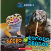 Gecko or Komodo Dragon (Wild World: Pets and Wild Animals) - Paperback