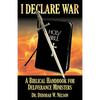 I Declare War - Paperback