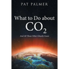 What to Do About Co2: And All Those Other Ghastly Gases - Paperback