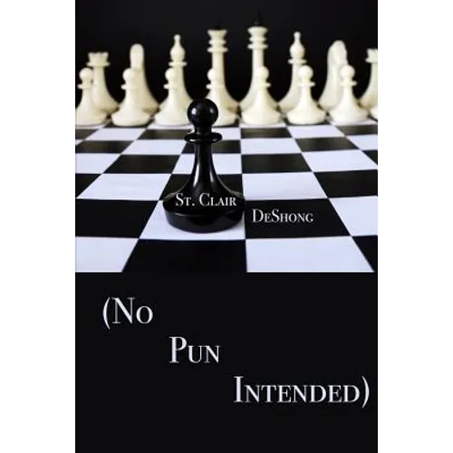 (no Pun Intended) - Paperback