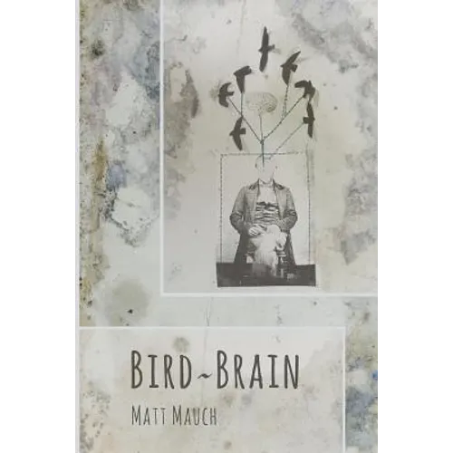 Bird Brain - Paperback