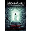 Echoes of Jesus: Does the New Testament Reflect What He Said? - Paperback