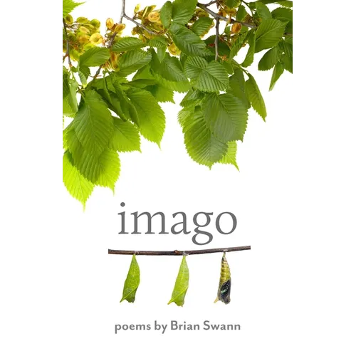 Imago - Paperback