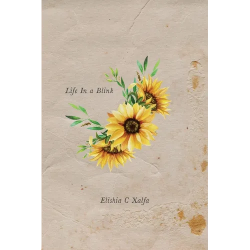 Life In a Blink - Paperback