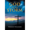God In My Storm - Paperback