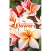 Address Book Flowers - Paperback