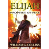 Prophet of Fire: the story of Elijah - Paperback