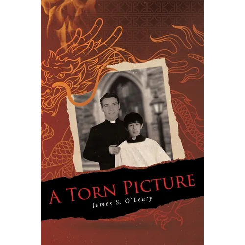 A Torn Picture - Paperback