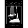 Profane Illumination: Walter Benjamin and the Paris of Surrealist Revolution - Paperback
