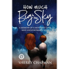 How Much Big Is the Sky: A Memoir of a Mother's Love and Unfathomable Loss - Paperback