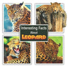 Interesting Facts About Leopard - Paperback