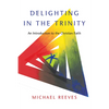 Delighting in the Trinity: An Introduction to the Christian Faith - Paperback
