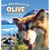 The Adventures of Olive And Her Big Heart: The Fire - Hardcover