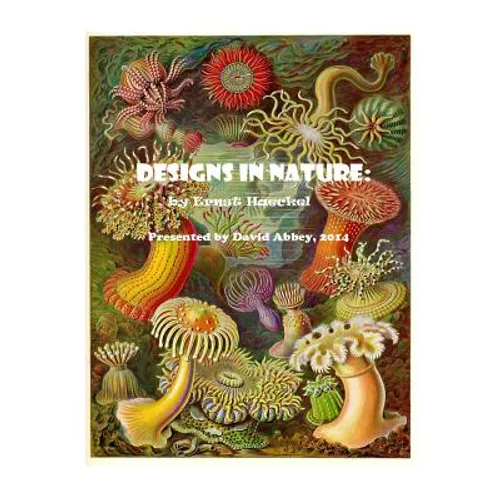 Designs in Nature: the incredible art of Ernst Haeckel - Paperback