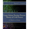 The Least Action Nuclear Process Theory of Cold Fusion: A Theory of Heat - Paperback
