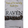 Raven Stone - Paperback