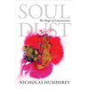 Soul Dust: The Magic of Consciousness - Paperback