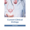 Current Clinical Urology - Hardcover