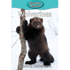 Wolverines - Paperback