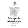 Through the Thunderstorm: A poetry through grief - Paperback