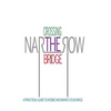 Crossing the Narrow Bridge: A Practical Guide to Rebbe Nachman's Teachings - Paperback