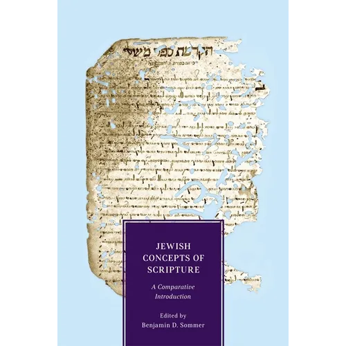 Jewish Concepts of Scripture: A Comparative Introduction - Paperback