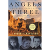 Angels Three: The Karen Perry Story - Paperback