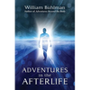 Adventures in the Afterlife - Paperback