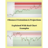 Fibonacci Extensions & Projections Explained With Real Char Examples - Paperback