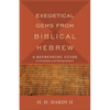 Exegetical Gems from Biblical Hebrew: A Refreshing Guide to Grammar and Interpretation - Paperback